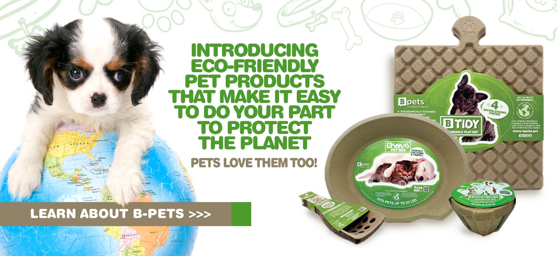  eco-friendly pet products